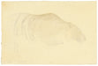 Sketch of a Tiger by Hiroshi Yoshida (1876-1950), 1926 (Back)
