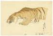 Sketch of a Tiger by Hiroshi Yoshida (1876-1950), 1926 (Front)