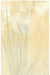 Iris by Koson Ohara (1877-1945), c.1910 (Back)