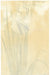 Iris by Koson Ohara (1877-1945), c.1910 (Back)