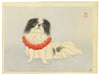 Japanese Chin by Signed "Toen", c.1940 (Front)