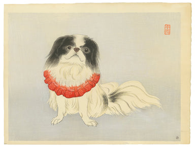 Japanese Chin by Signed "Toen", c.1940 (Front)