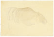Sketch of a Tiger by Hiroshi Yoshida (1876-1950), 1926 (Back)