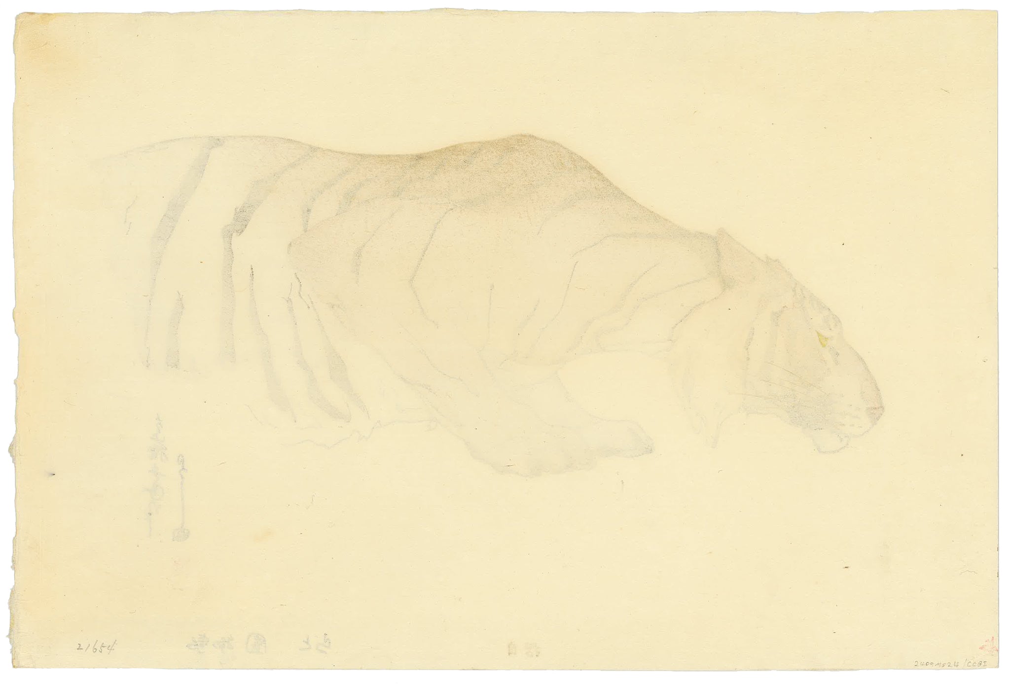 Sketch of a Tiger by Hiroshi Yoshida (1876-1950), 1926 (Back)