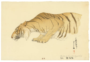 Sketch of a Tiger by Hiroshi Yoshida (1876-1950), 1926 (Front)